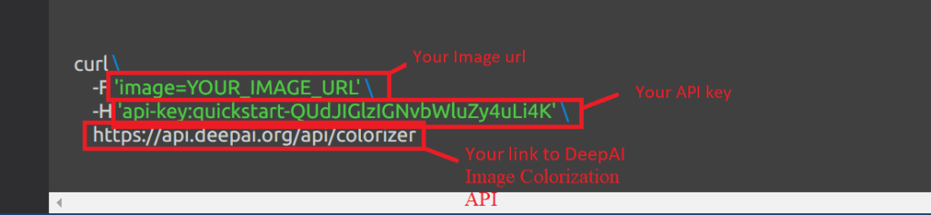 Description how to use Image Colorization API in your apps