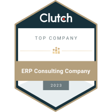 Top ERP Consulting Company