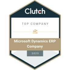 Top Microsoft Dynamic ERP Company