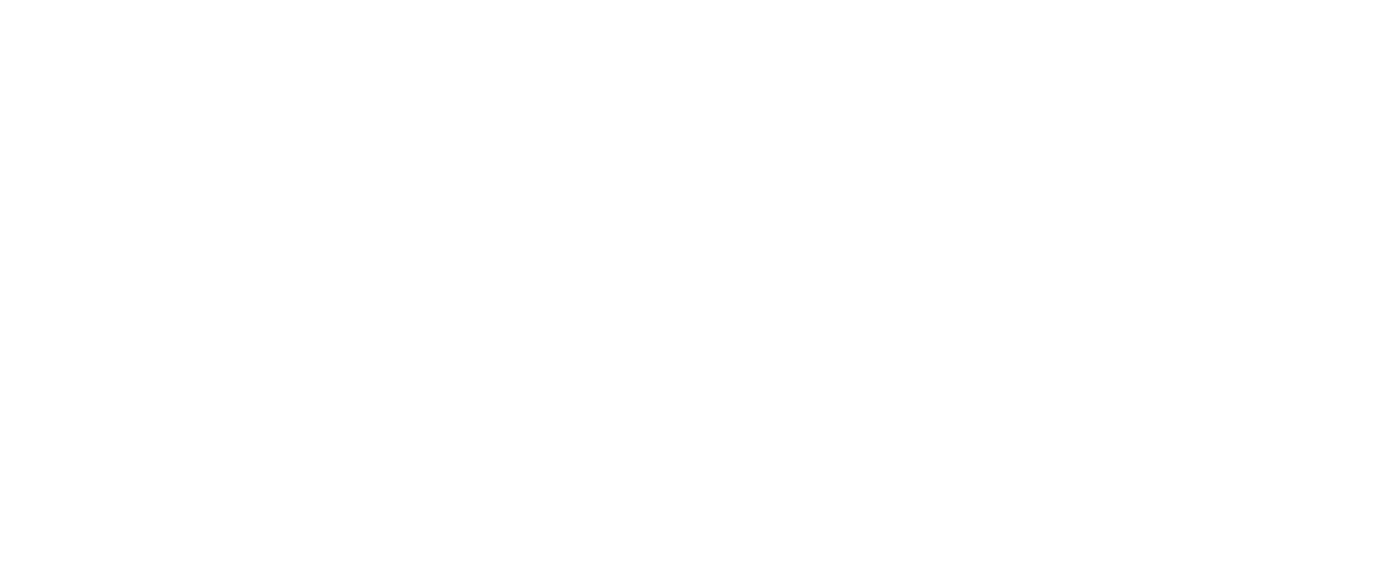 How We Reduced Import Time from 7 Days to Just 2-3 Hours with Delphi 11.3