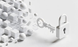 Custom Software Development